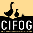 logo CIFOG